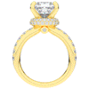 5.25CT.TW PRINCESS LAB DIAMOND ENGAGEMENT RING - Nazarelle