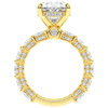 10.90CT.TW OVAL LAB DIAMOND SOLITAIRE ENGAGEMENT RING - Nazarelle